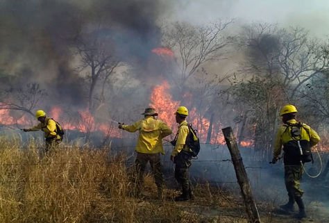 focos de calor en Bolivia