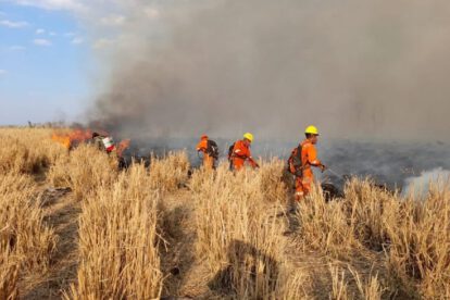 Incendio forestal en Santa Cruz