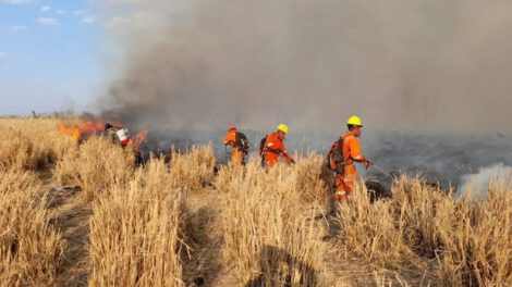 Incendio forestal en Santa Cruz