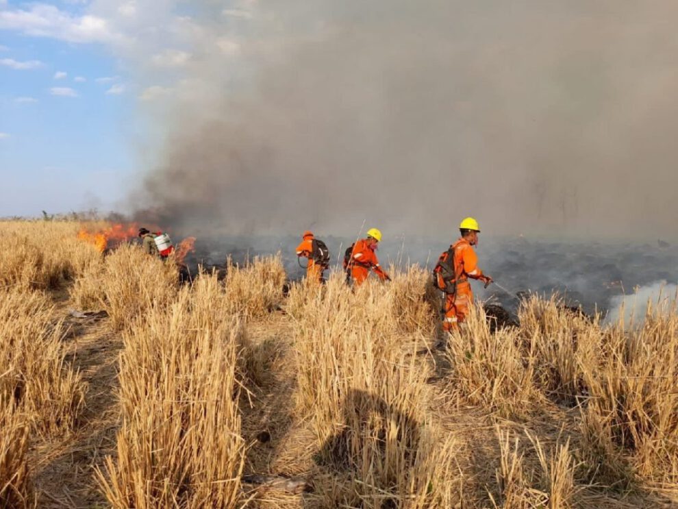 Incendio forestal en Santa Cruz