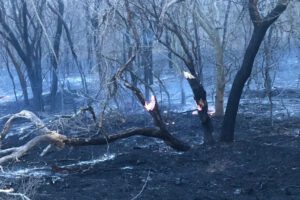 Incendios en Chuquisaca fueron sofocados