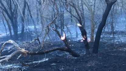 Incendios en Chuquisaca fueron sofocados