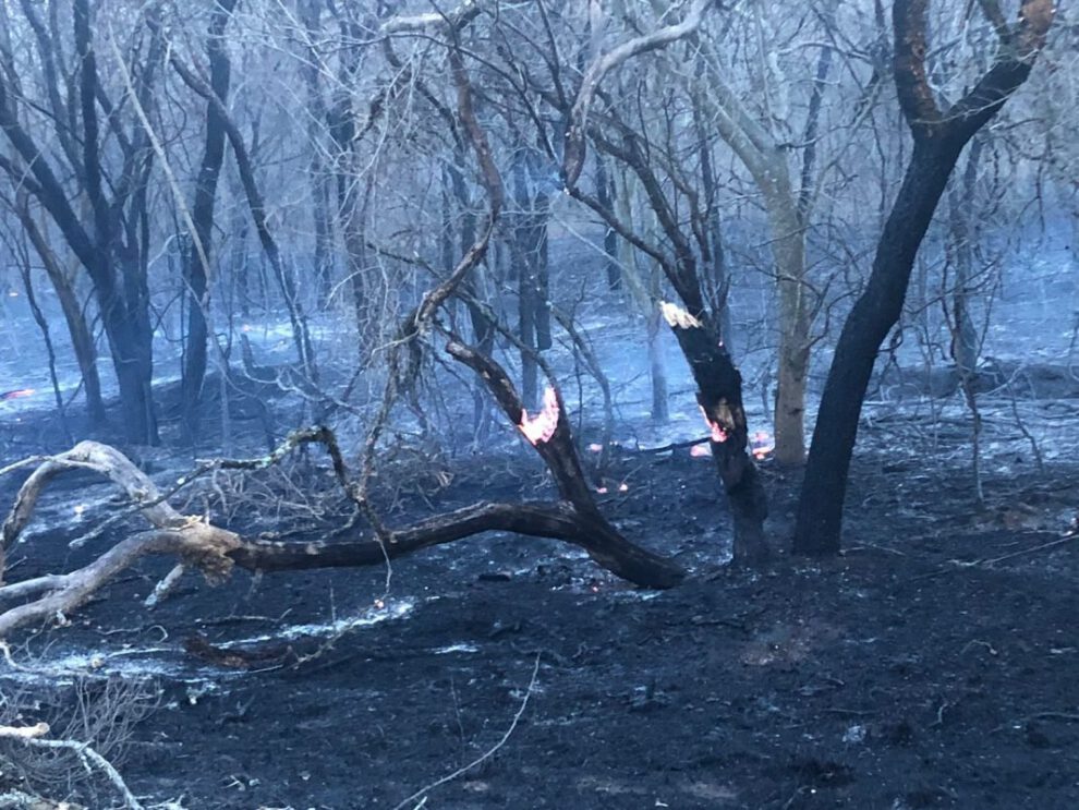 Incendios en Chuquisaca fueron sofocados