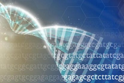 Ensamblar el genoma humano en minutos