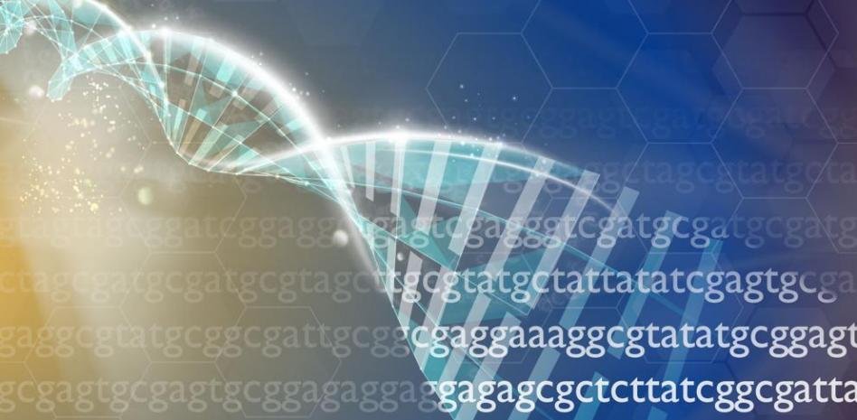Ensamblar el genoma humano en minutos