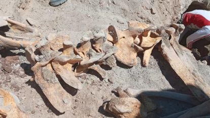 Restos fósiles en la plaza de Armas de Uyuni