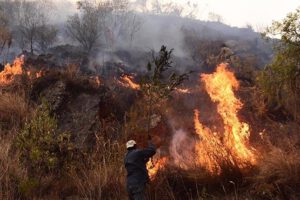 Incendios en Santa Cruz