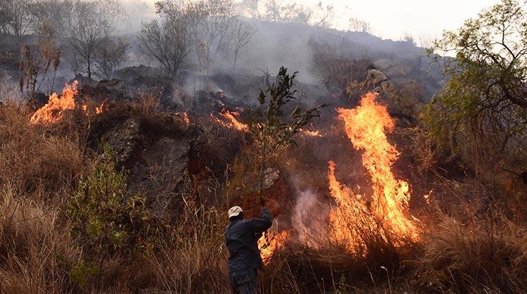 Incendios en Santa Cruz