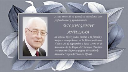 Wilson Sandy Antezana