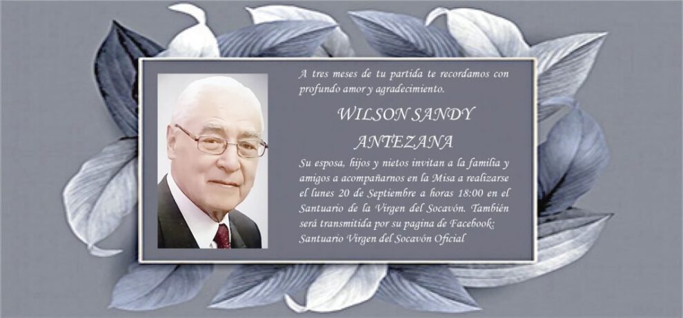 Wilson Sandy Antezana