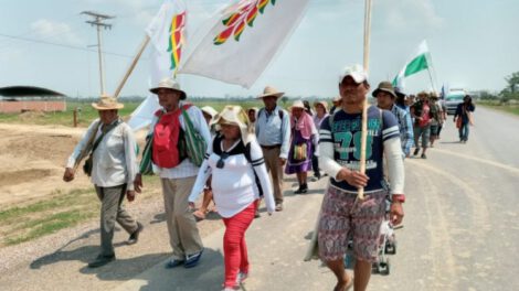 Marcha indígena en defensa de su territorio