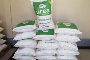 El fertilizante ayuda al crecimiento de las plantas ayudando en su nutrición y en mejorar el rendimiento de los cultivos