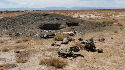 Falta de agua en Sunavi afecta a familias y su ganado