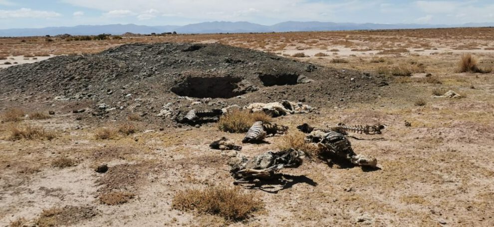 Falta de agua en Sunavi afecta a familias y su ganado