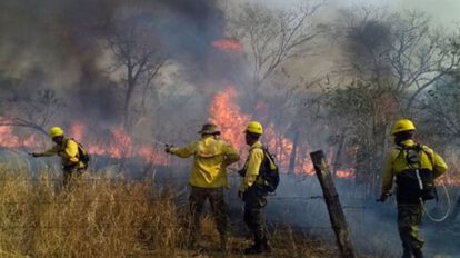 Incendios en Santa Cruz