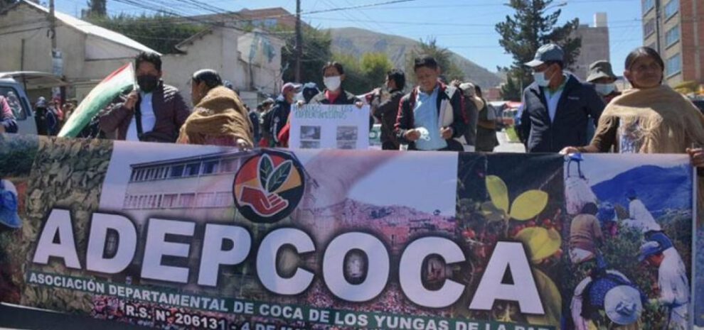 Cocaleros de los Yungas en marcha por Adepcoca