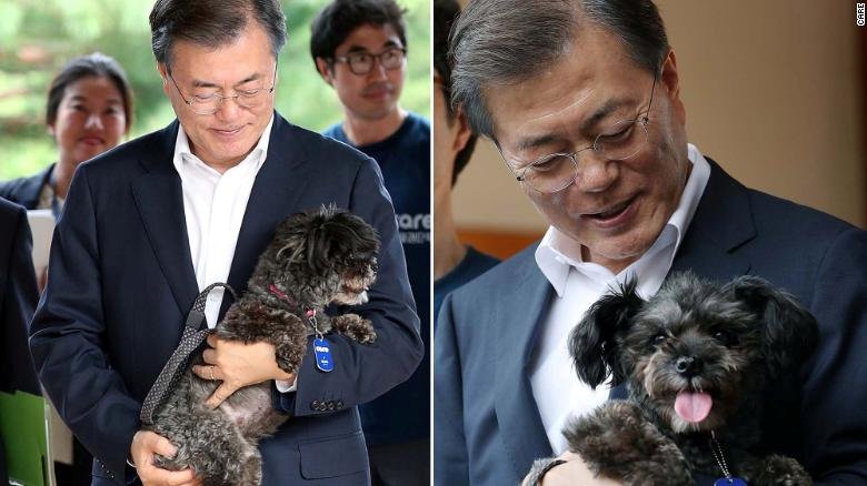 Prohibición del consumo de carne de perro en Corea del Sur