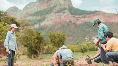 Proyecto de turismo solidario en Roboré para restaurar lo perdido en los incendios forestales