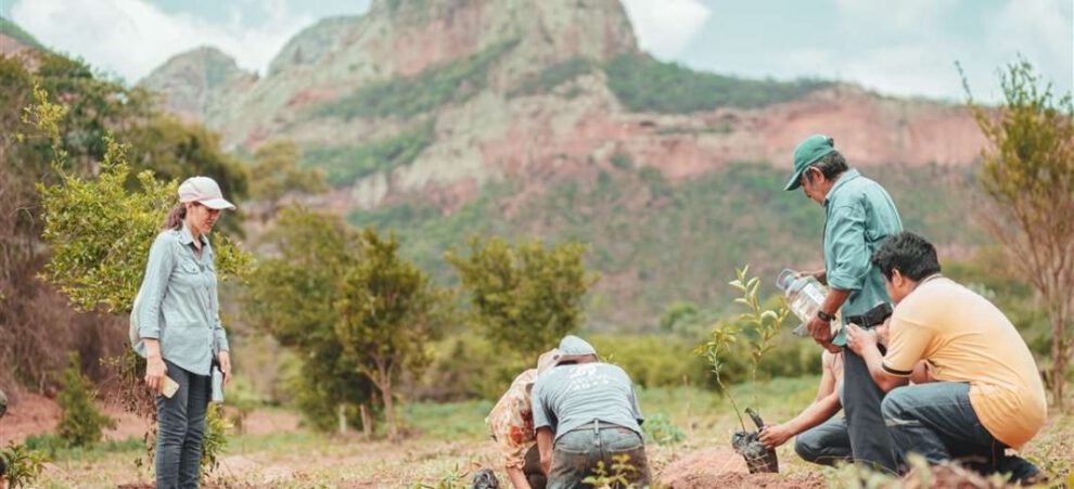 Proyecto de turismo solidario en Roboré para restaurar lo perdido en los incendios forestales