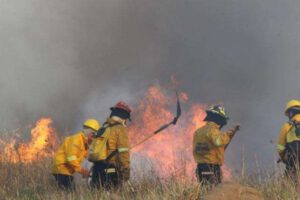 Incendios forestales en Santa Cruz