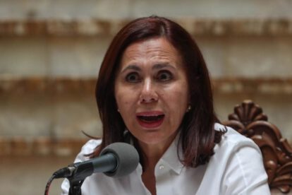 Ministra de Relaciones Exteriores Karen Longaric sobre Evo Morales refugio