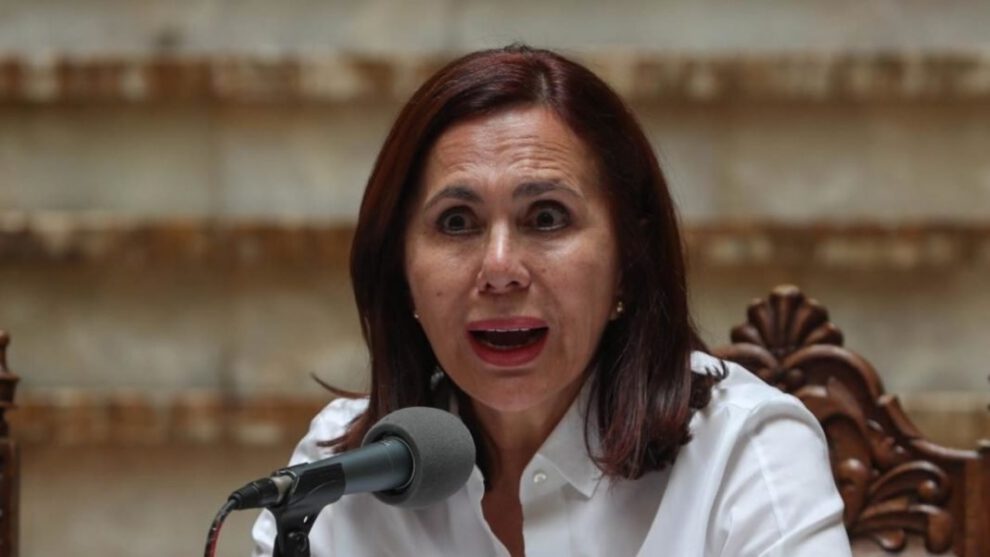 Ministra de Relaciones Exteriores Karen Longaric sobre Evo Morales refugio