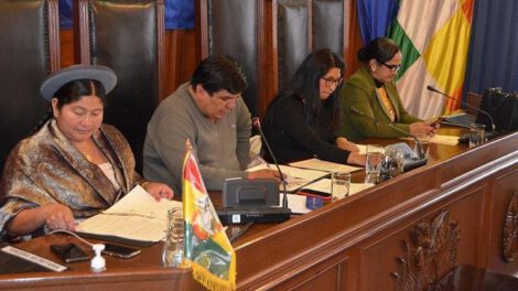 Proyecto de Ley de Prórroga del Mandato Constitucional en el Senado