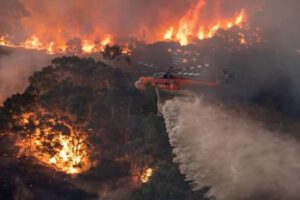 Incendios forestales en Australia