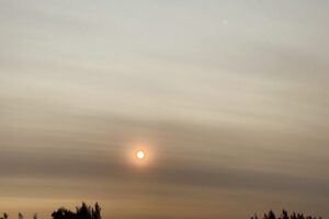 Humo de los incendios forestales de Australia llega a Chile y Argentina