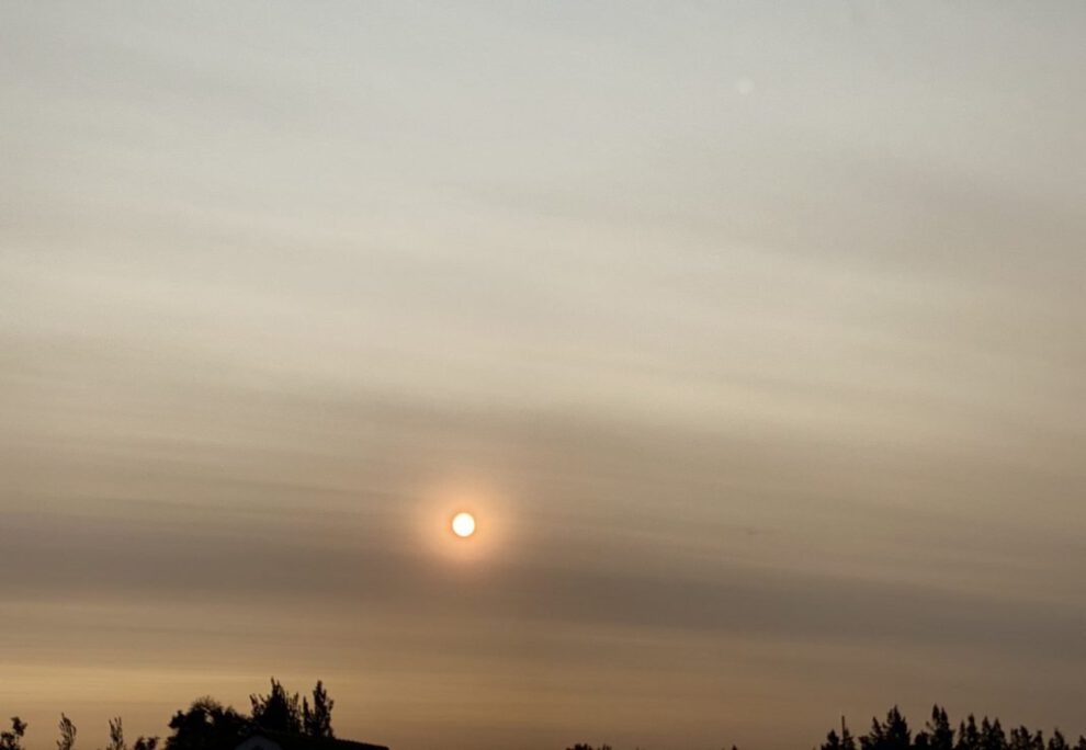 Humo de los incendios forestales de Australia llega a Chile y Argentina