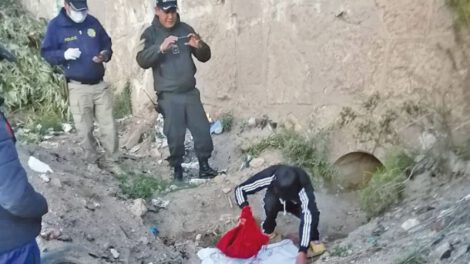 Mujer mató a sus hijos y desapareció los cuerpos