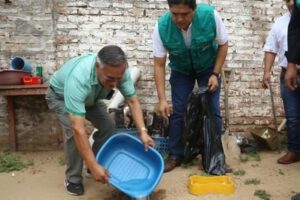 Muertes por dengue en Bolivia