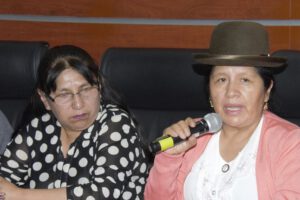 Deuda del TSE por comicios presidenciales observados del 2019