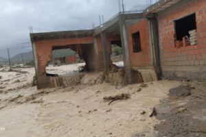 Riada en Cotagaita causa destrucción de casas