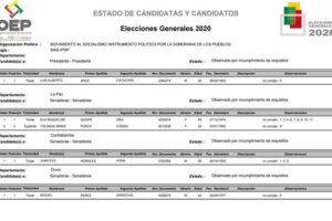 Candidaturas observadas TSE por Evo Morales, Luis Arce, Marco Pumari