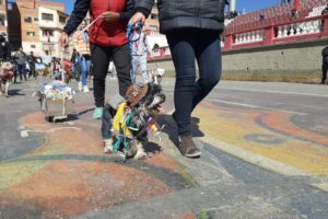 Maltrato animal en conmemoración a San Roque
