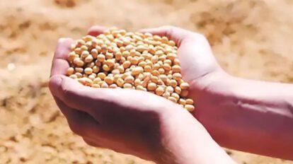 Productores advierten que, sin combustible, deberán importar semillas