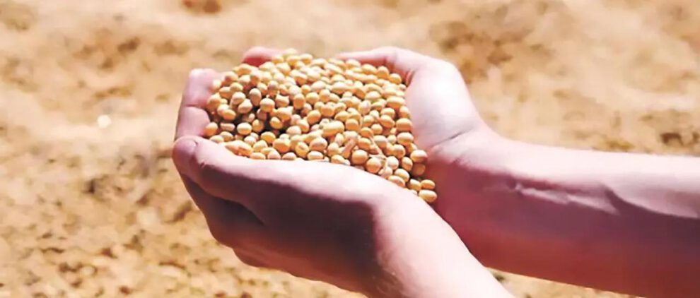 Productores advierten que, sin combustible, deberán importar semillas