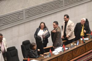 La ministra de Salud acudió al pleno parlamentario para su interpelación