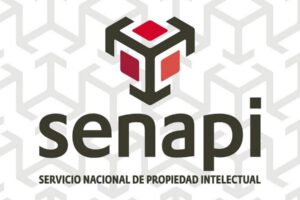 Denuncia irregularidades en Gestión Colectiva mediante el nuevo QR del Senapi