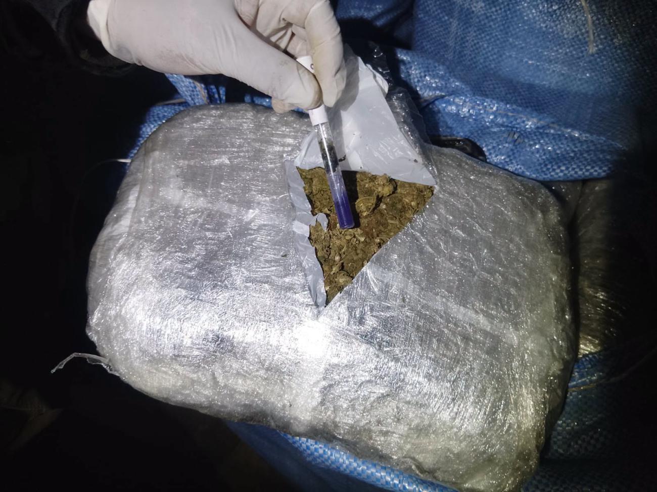 Tras la prueba de campo, el resultado fue positivo (+) para marihuana.