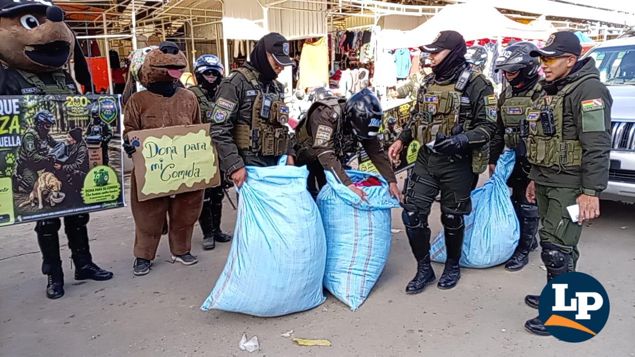 Imagen de la campaña