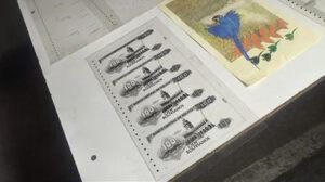 Billetes Falsos