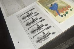 Billetes Falsos