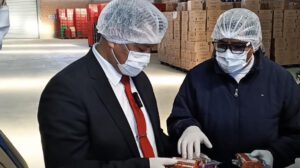 Inspección
