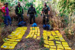 Gendarmería Argentina realizó la mayor cantidad de decomisos de drogas en el país. El 80% provenía de Bolivia