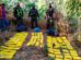 Gendarmería Argentina realizó la mayor cantidad de decomisos de drogas en el país. El 80% provenía de Bolivia