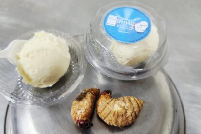 tuyu tuyu