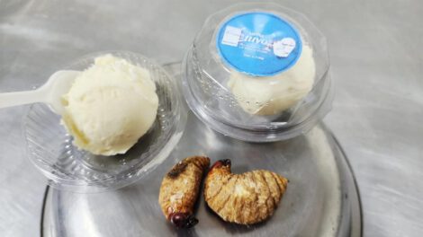 tuyu tuyu