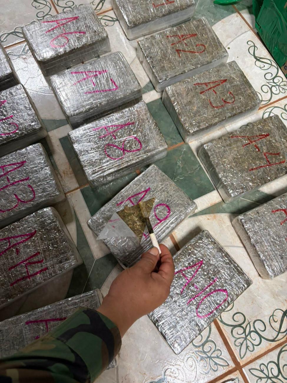 Al proceder con la apertura de las cajas, los efectivos policiales descubrieron los 73 paquetes que ocultaban una sustancia vegetal verdusca